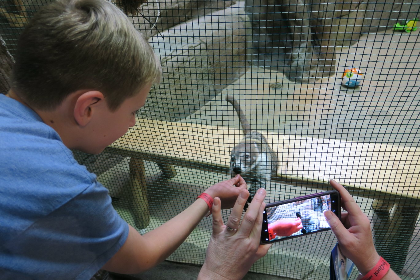 52-Seaquest_Interactive_Aquarium-Kenny_feeding_animal