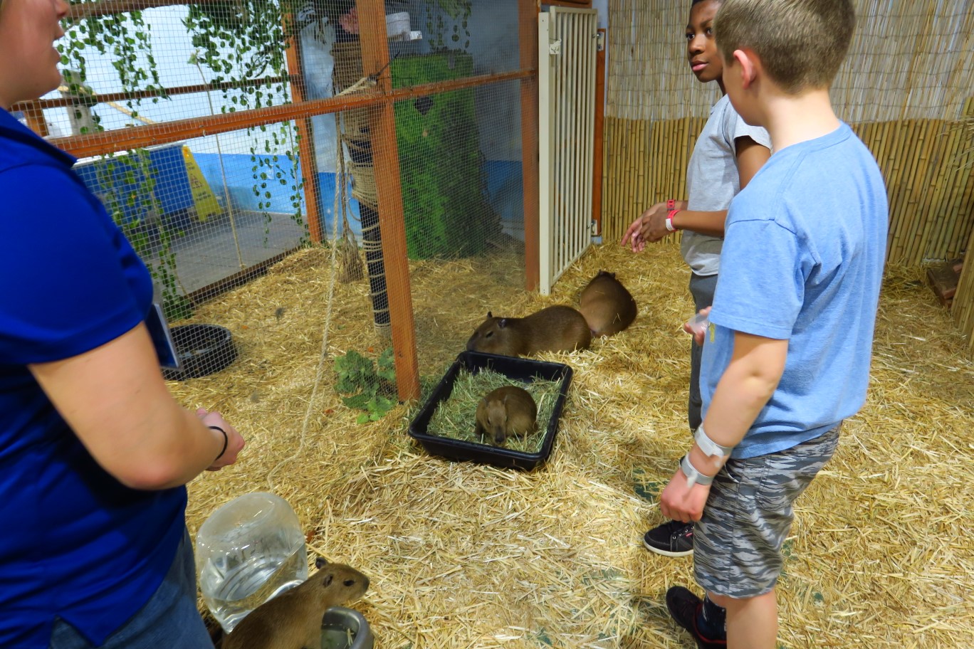 67-Kenny_in_the_capybara_habitat