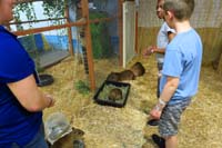 67-Kenny_in_the_capybara_habitat