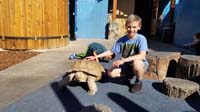 70-Kenny_and_the_Sulcata_Tortoise