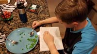 16-multi-talking,having_dinner_while_reading_a_book_for_school-late_swim_practice