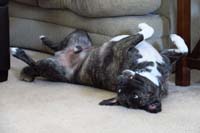 12-upside-down_Rainier-really_cute_when_he_randomly_does_this_for_some_reason
