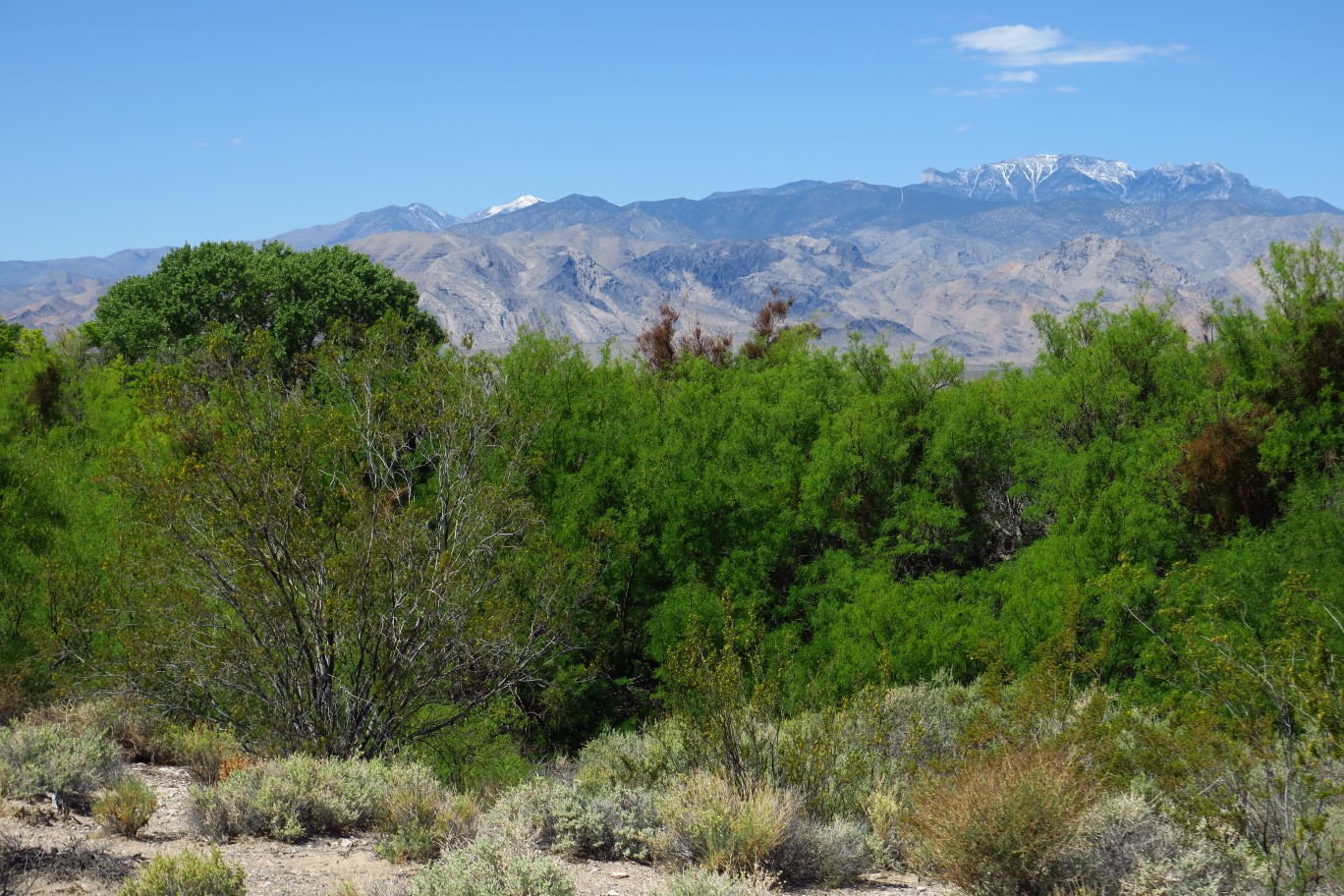 06-pretty_scenery_of_Spring_Mountains