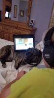 16-Rainier_is_the_tablet_table_for_Kenny_while_in_our_bed