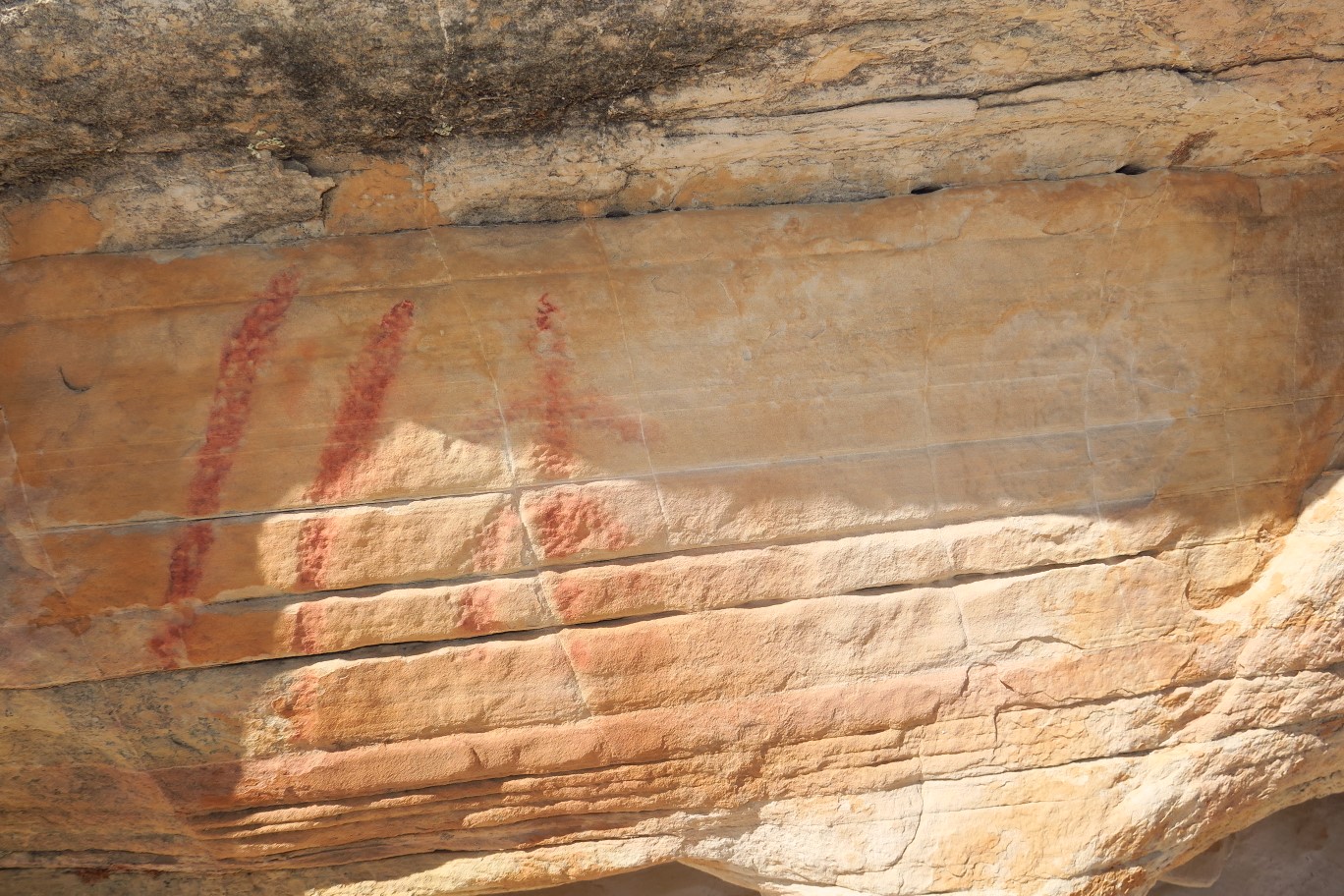 54-pecked_petroglyphs_that_were_painted