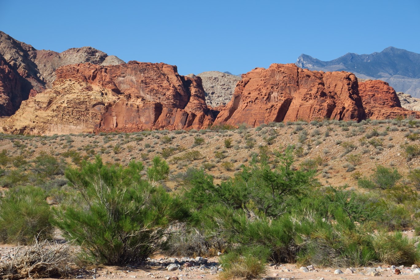 07-scenery_along_dirt_road