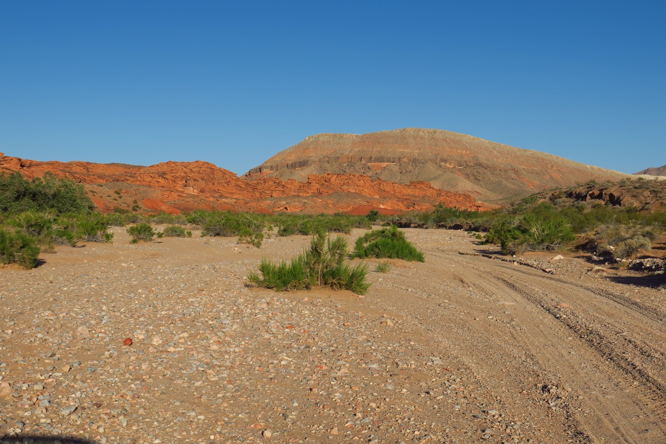 73-scenery_along_dirt_road