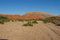 73-scenery_along_dirt_road