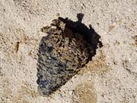 04-beach_in_South_Tahoe-Kenny's_treasure-dug_for_so_long_to_pull_out_a_pine_cone