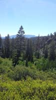 18-Kenny's_picture_of_area