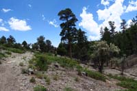 16-scenery_on_way_back_to_trailhead