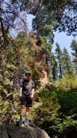 08-Kenny_and_General_Grant_sequoia