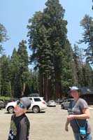 03-visiting_Grant_Grove_sequoias