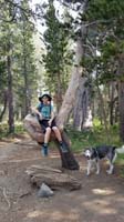 06-Kenny_sitting_in_the_tree_that_wants_to_live-someone_else's_dog