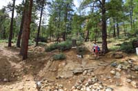 10-time_to_enjoy_a_hike_in_the_forest-trailhead