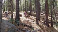 13-Daddy_and_Kenny_on_the_trail_with_the_dogs