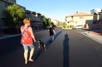 01-walking_dog_in_middle_of_street_because_of_uproar_from_neighbor_about_dogs_using_her_yard