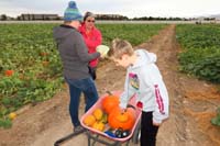 21-Kenny_is_happy_with_the_pumpkins_he_picked,even_found_ideal_'baby_pumpkin'