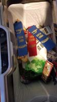 45-Kenny_has_so_many_swimming_ribbons,throws_away_ones_without_string-but_getting_rid_of_1st_and_2nd_place