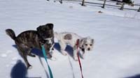 09-Rainier_and_Brinkley_in_snow