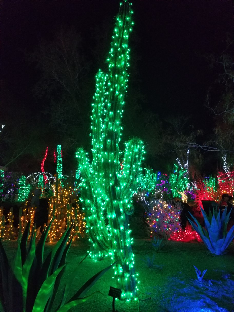 063-Cactus_Garden_light_display