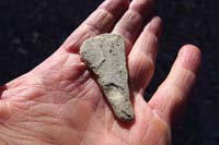 06-looks_like_a_fossil_of_some_sort