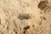 17-casts_in_the_mudstone