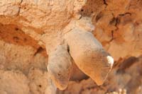 18-casts_in_the_mudstone