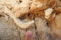 19-casts_in_the_mudstone