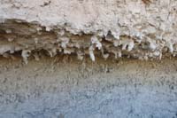 23-interesting_formations_sticking_out_of_the_ceiling,but_not_worm_casts