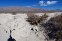 27-location_of_what_is_called_the_Big_Dig,1962-excavation_found_an_abundance_of_large_animal_fossils