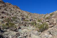 12-steeper_section_to_ridge_to_peak,300_ft_in_.2_miles_for_30_percent_grade