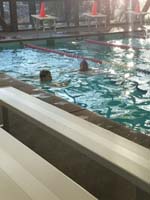 05-'We_don't_want_to_circle_swim,because_then_we_can't_talk_to_each_other-swimming_is_a_social_sport