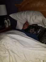 42-this_is_how_Daddy_sleeps_to_block_light_and_sound_from_TV_Mommy_needs_to_sleep-helps_with_migraine_issues