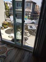 45-Rainier_and_Brinkley_soaking_up_the_sun_on_our_balcony