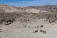 16-remnants_of_the_Tonopah_&_Tidewater_Railroad_line