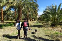 42-nice_walk_through_the_farm