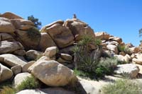 12-Kenny_scrambling_on_some_rocks