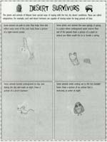21-Mojave_National_Preserve_Junior_Ranger_program10