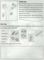 25-Mojave_National_Preserve_Junior_Ranger_program14
