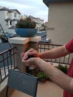 01-Daddy_carefully_caught_a_hummingbird_that_snuck_into_house_via_open_door