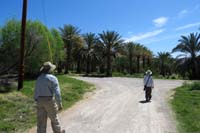 45-Poppy_and_Kenny_checking_out_the_palm_grove