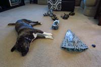 67-Rainier_relaxing_among_play_mess_of_Kenny's_legos