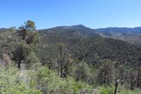 04-scenery_along_the_trail