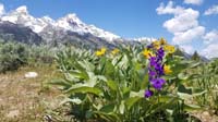 20-scenic_view_at_Teton_Glacier_turnout