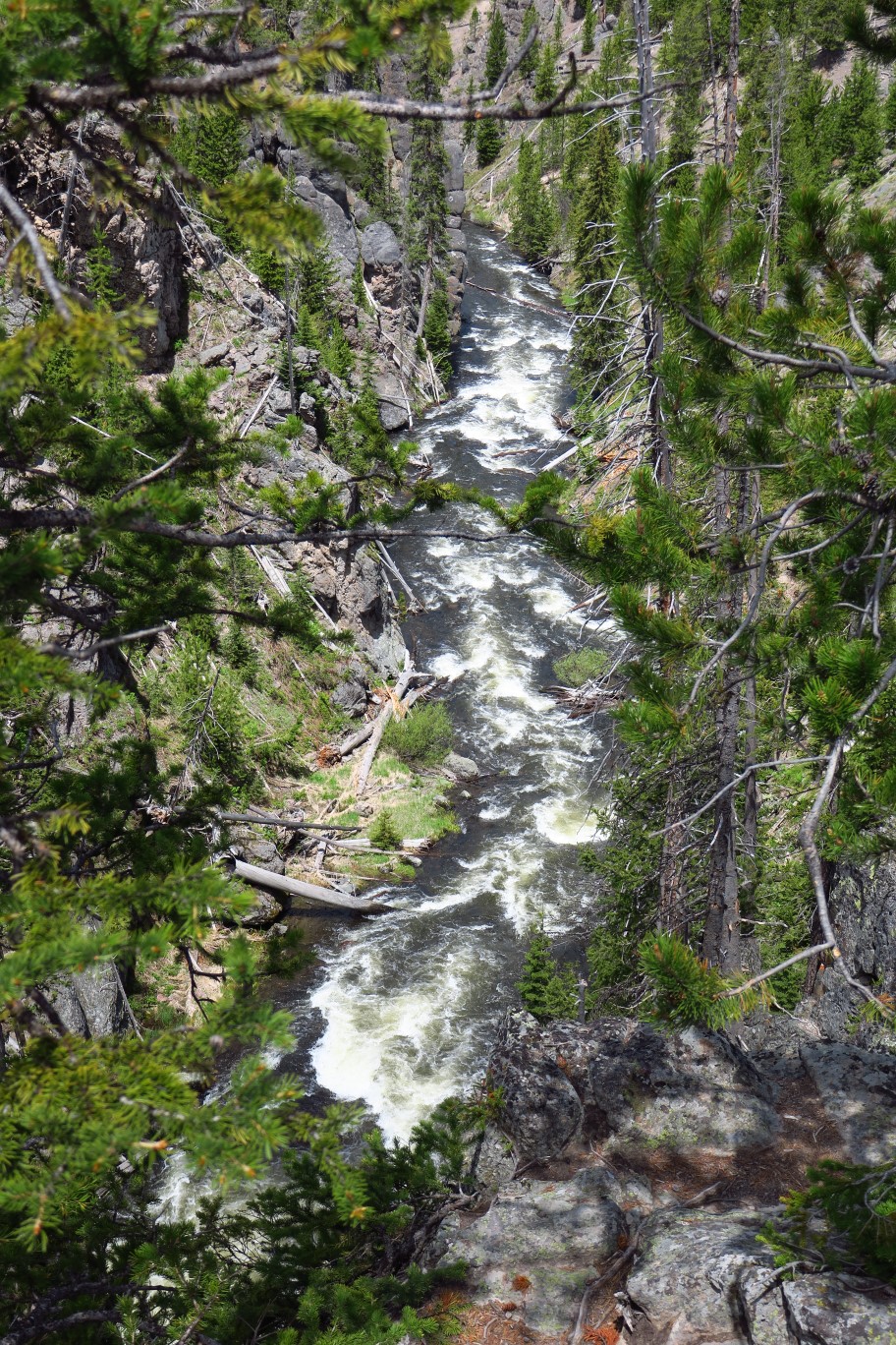 04-downstream_view