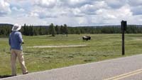 40-Daddy_taking_picutres_of_the_bison