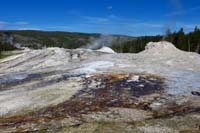 038-Lion_Geyser_Group-lion,lioness,cub_geysers