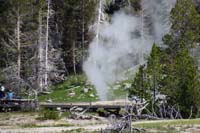 092-1051-Vent_Geyser_is_still_blowing