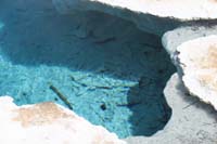 111-bones_of_a_baby_bison_that_fell_into_the_acidic_hot_spring